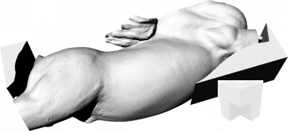 Cavall_Neptu_1_Cuerpo_Der