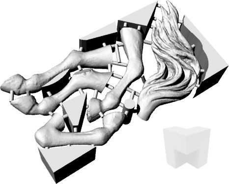 Cavall_Neptu_1_Extremidades