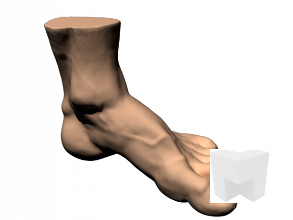 Pie-escaner-3D-previsualizacion