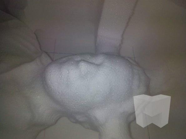 IMG-20160610-081047