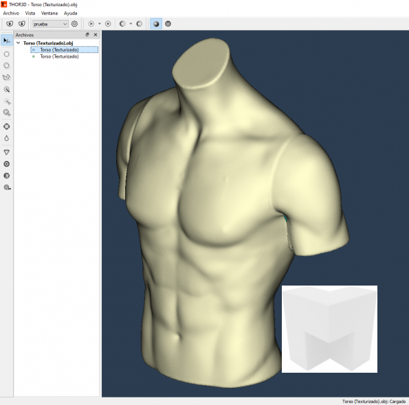 Torso-en-Thor3D-con-interfaz-sin-texturizado