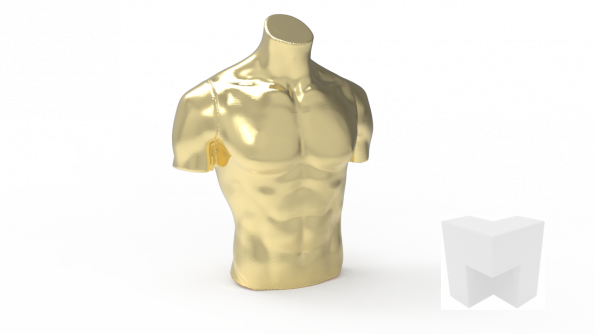 Torso.83